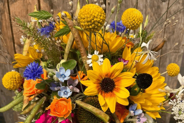 Bild 3 von Blumen Krippner