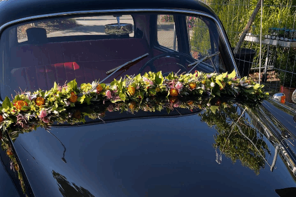 Bild 4 von Blumen Krippner